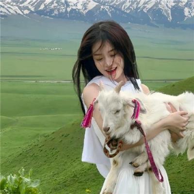 狙击猎杀：救援行动 海报