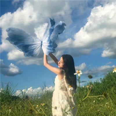 超级骗局 海报